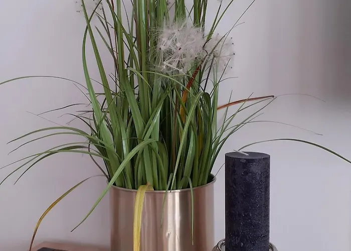 Old Town - Bosacka B18